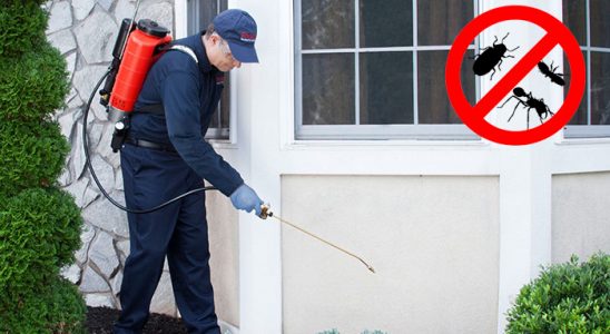 Darıca Böcek İlaçlama böcek ilaçlama ve haşere kontrolü — ilaclama-tr.com